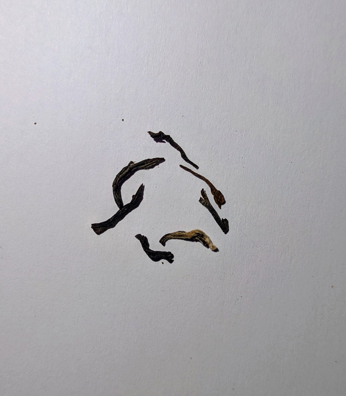 Darjeeling Seeyok second flush FTGFOP1