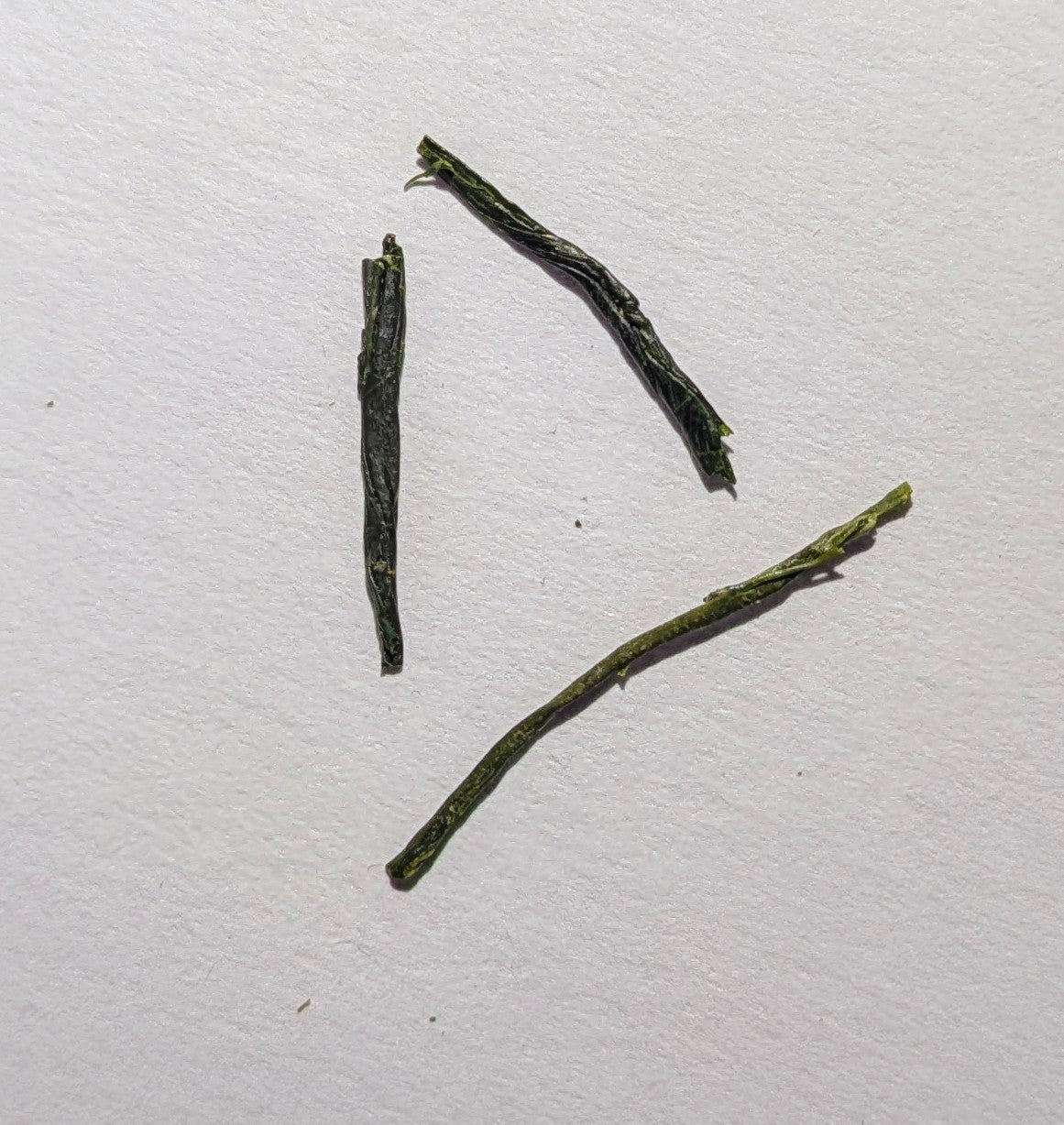 Shizuoka Sencha Kura (Japan)