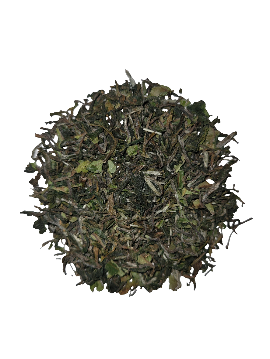 Darjeeling Teesta Valley First Flush