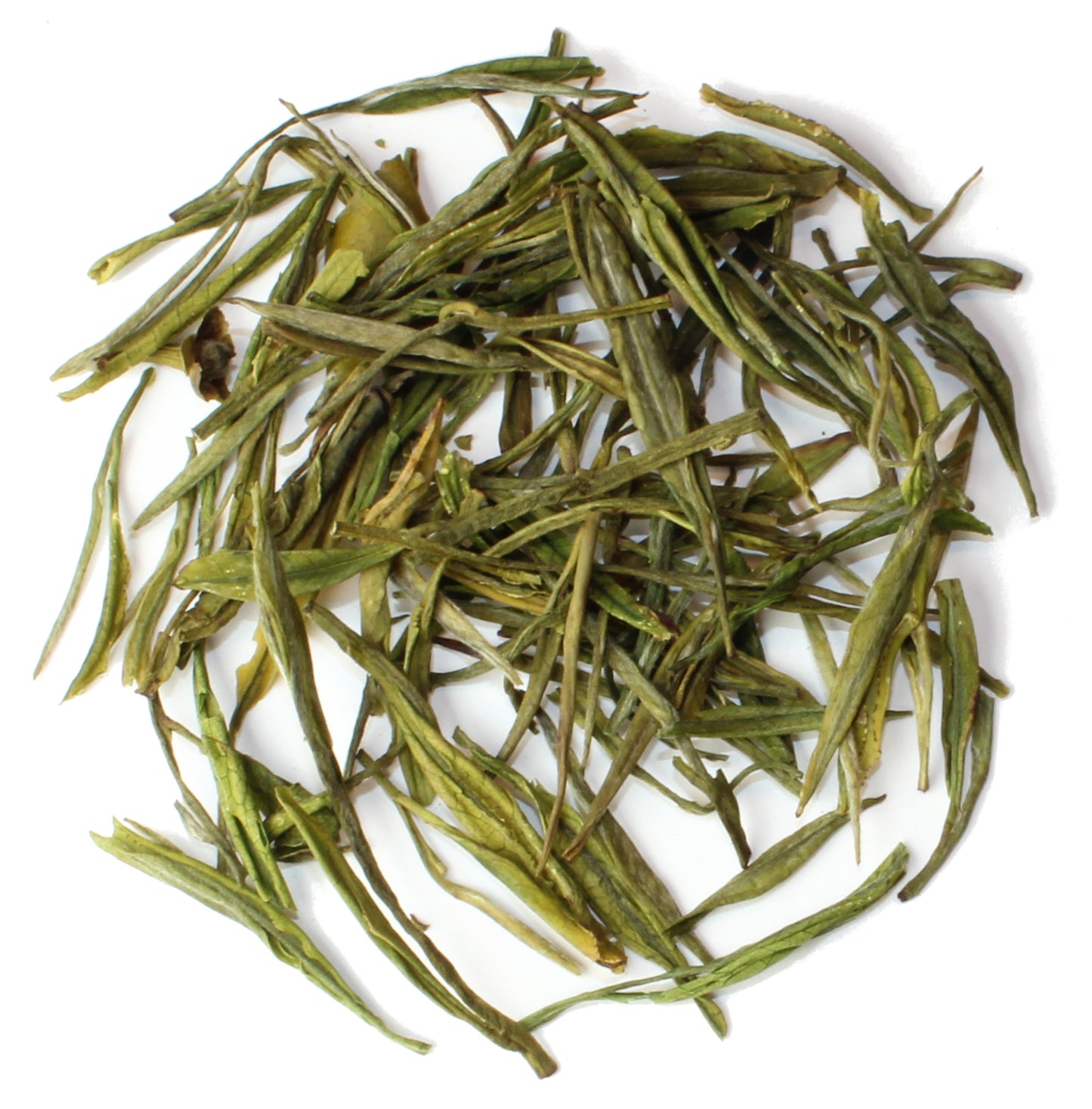 Das Blatt des Anji Bai Cha.